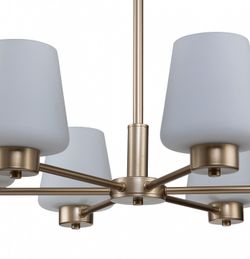 Подвесная люстра Indigo Tulip 13004/6P Gold