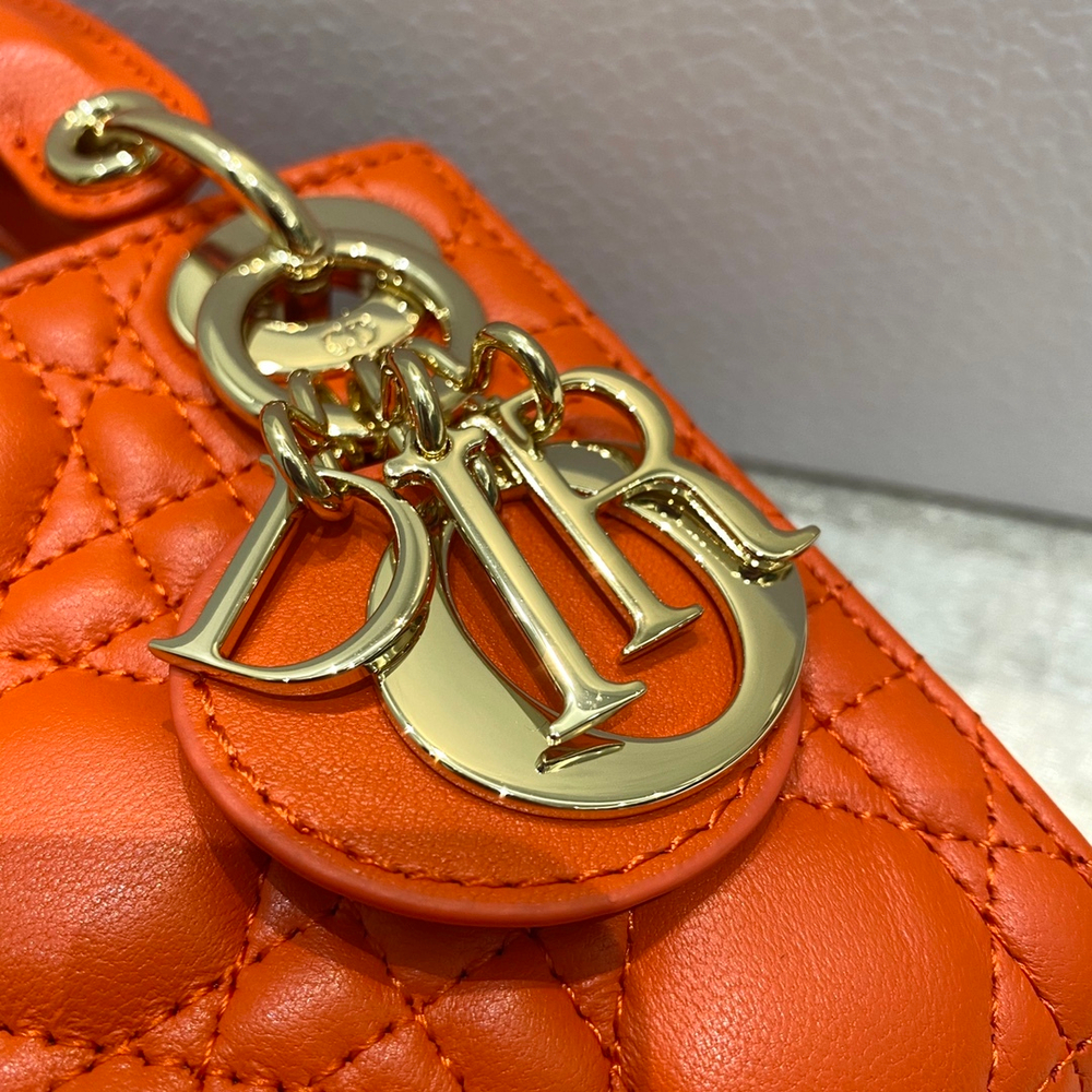 Christian Dior Lady Dior Micro