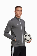 Кофта adidas Entrada 22 Track