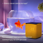 Умная колонка Яндекс Станция Миди с Алисой на YaGPT, с Zigbee, 24 Вт, оранжевая