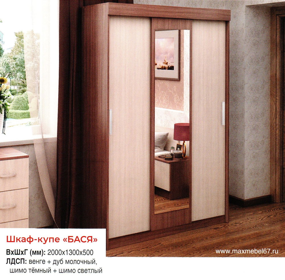 Шкаф-купе Бася
