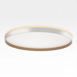 Накладной светильник Citilux ETALON CL750500R