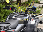 Квадрицикл Bizon EPS YK450A (ПТС) (Серый)