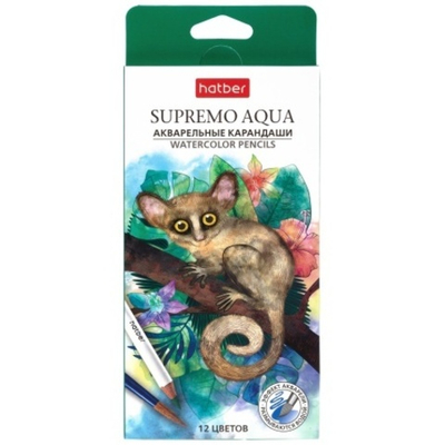Набор Карандши цветные Hatber SUPREMO AQUA, акварельные, 12 цв.