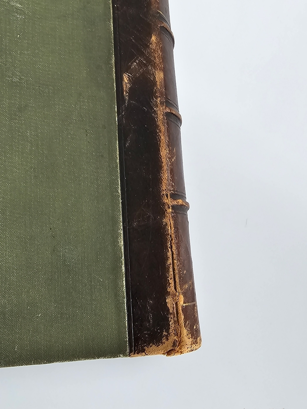 "Учебник зоологии и сравнительной анатомии для высших учебных заведений (преимущественно для медиков).". Холодковский Н.А.. 1909г.