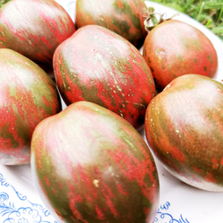 Помидоры Каликовые - Морские Колокольчики - Dwarf Maritime Bells Tomato