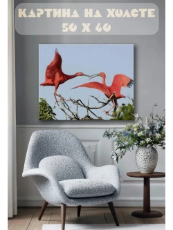 Картина на стену 40 X 50 Красный ибис