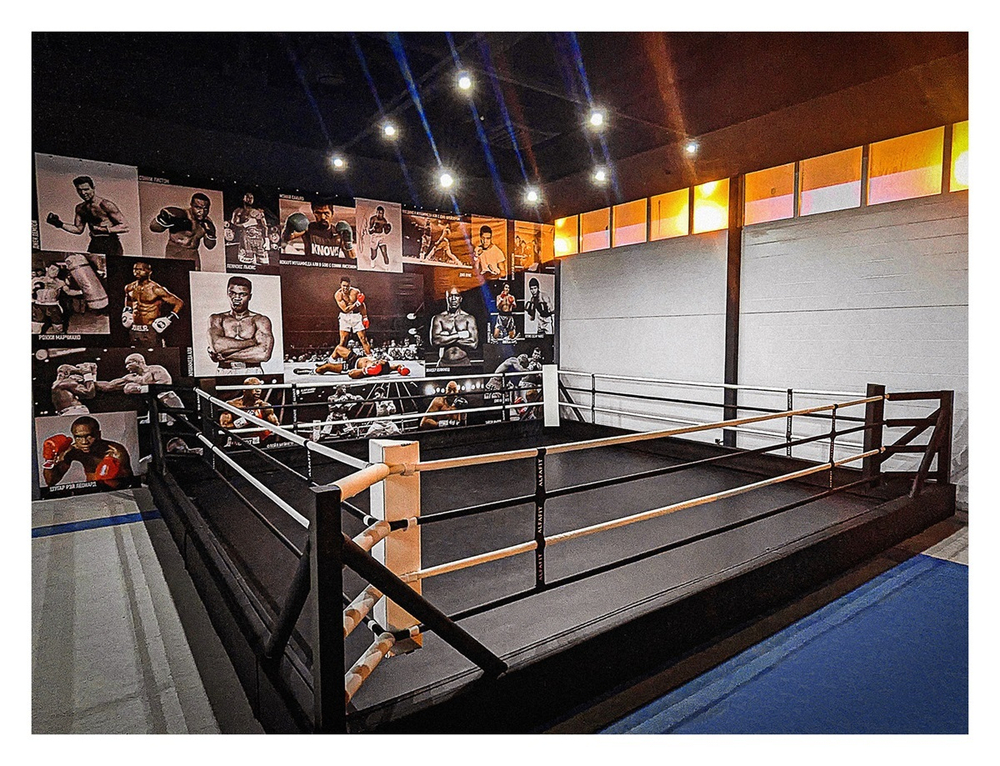 Ринг боксерский в СИЛОВОЙ раме TARGEX