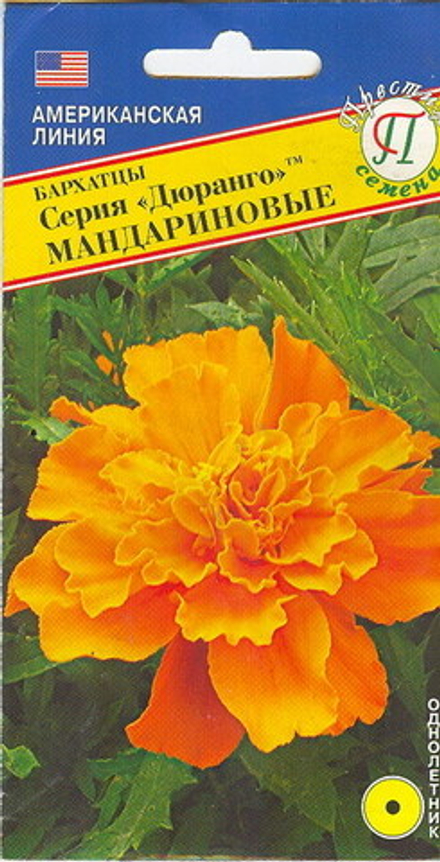Бархатцы Дюранго мандариновые отклоненные Престиж