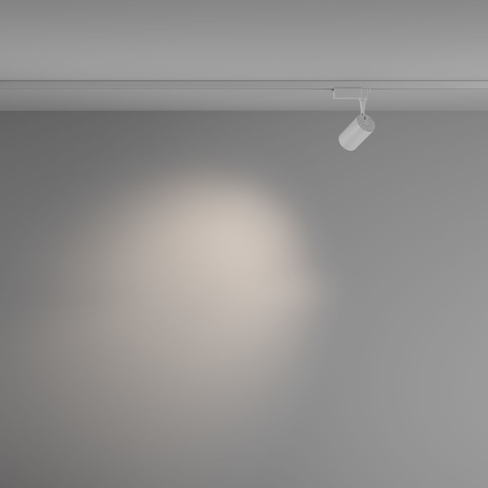 Трековый однофазный светодиодный светильник Maytoni Unity Vuoro TR003-1-6W4K-M-W