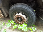 Shacman (Shaanxi) SX* 8x4 Самосвал SX33186W366C (Дизельный, 10,8 л, 441 л.с., МТ)