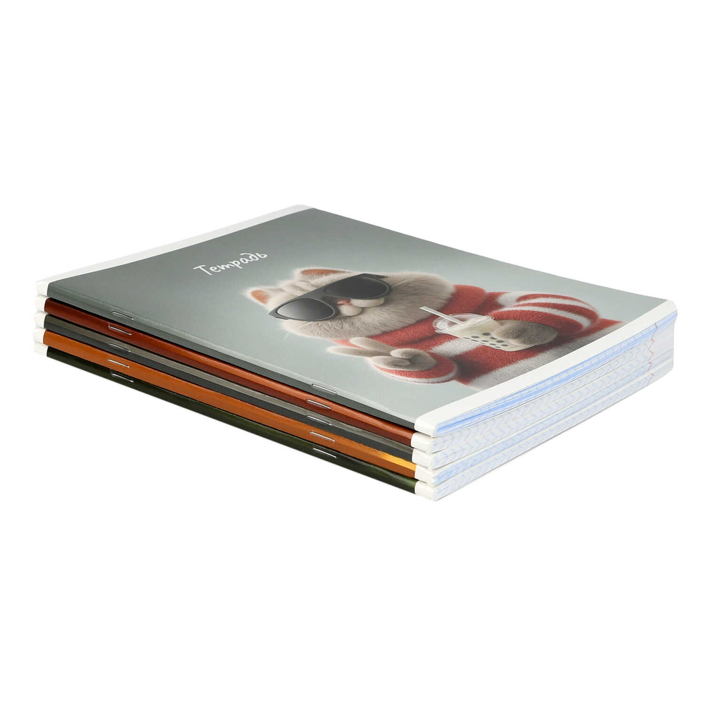 Тетрадь, 48 л, клетка, СОВРЕМЕННЫЕ КОТЫ А5