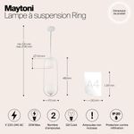 Подвесной светильник Maytoni MOD013PL-02W