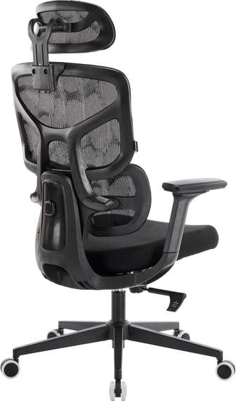 Эргономичное кресло Omega Black Сетка Черный