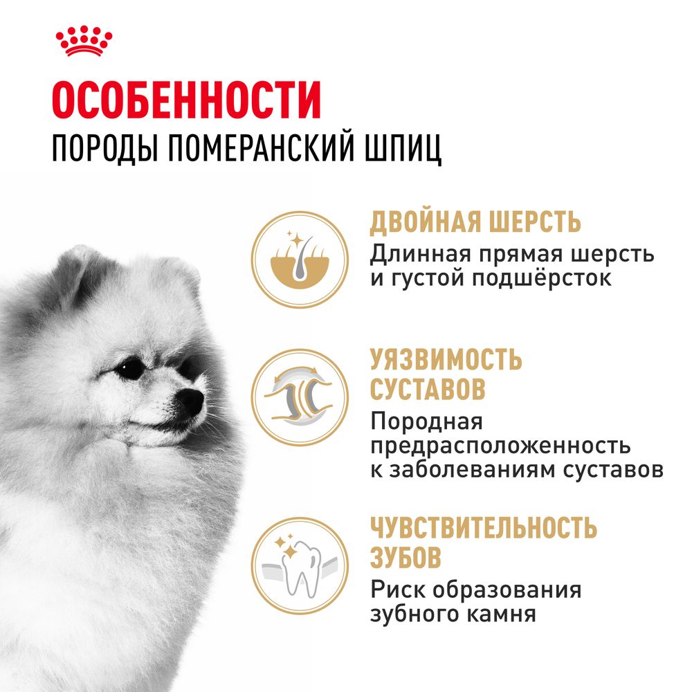 Сухой корм Royal Canin Pomeranian Adult для взрослых собак породы Померанский Шпиц Сухой корм Royal Canin Pomeranian Adult для взрослых собак породы Померанский Шпиц