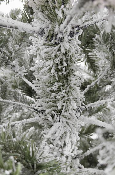 Искусственная ель Монблан Люкс 215 см с освещением