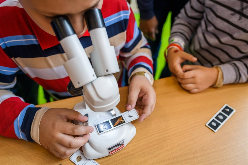 Развивающая игра Микромир 3D