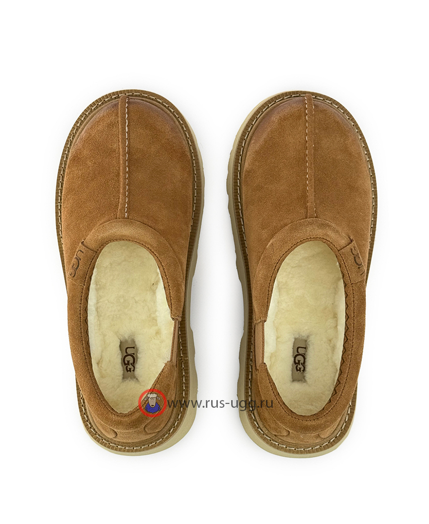 MEN'S TASMAN LUG - Chestnut