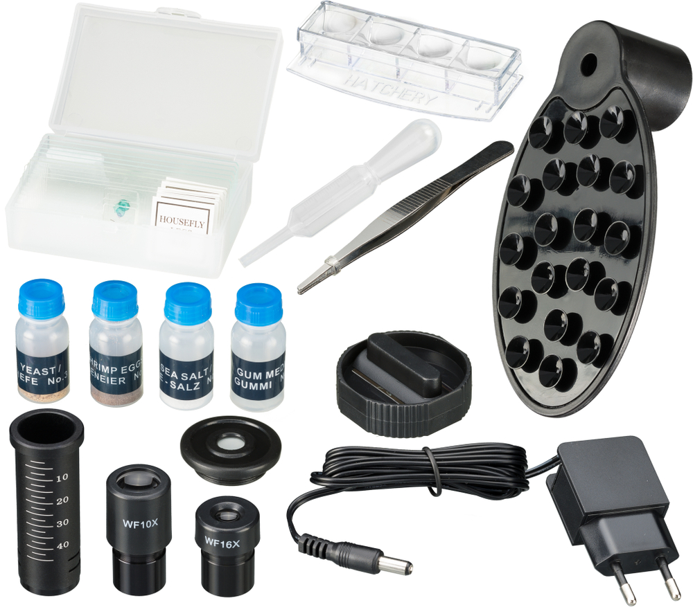 Микроскоп Bresser National Geographic 40x-1280x с держателем для смартфона" (без препаратов)