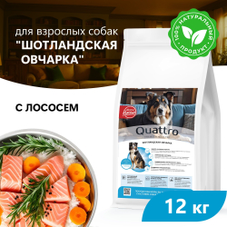 Корм сухой для взрослых собак породы Шотландская овчарка, премиум полнорационный комплекс, с лососем, 12 кг, QUATTRO