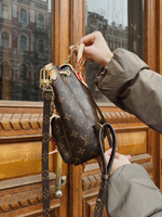 Louis Vuitton Excursion