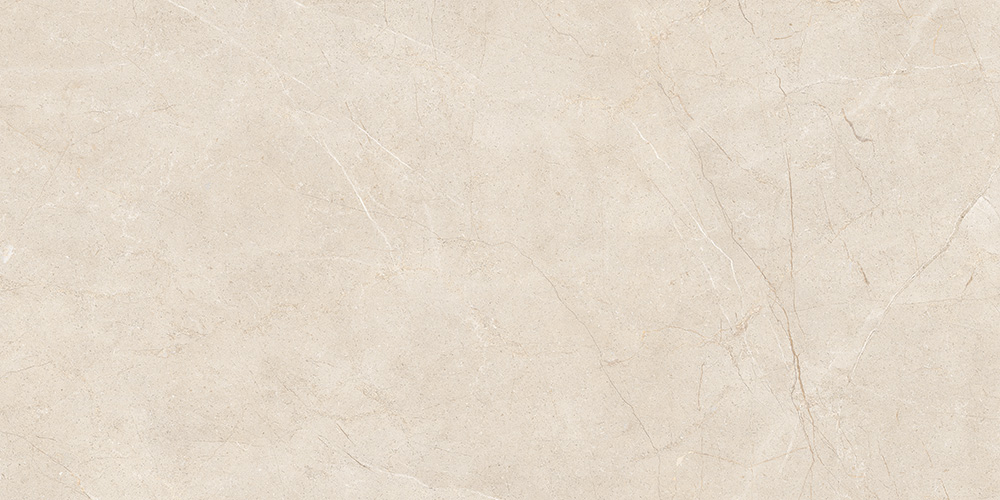 60x120 MoonLight Греж Матовый R10A Ректификат