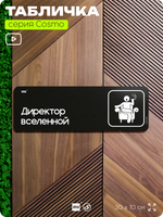 Табличка Директор вселенной, шуточная прикольная табличка на дверь и стену черная, для офиса и дома, серия COSMO FUN, 30х10 см, Айдентика Технолоджи