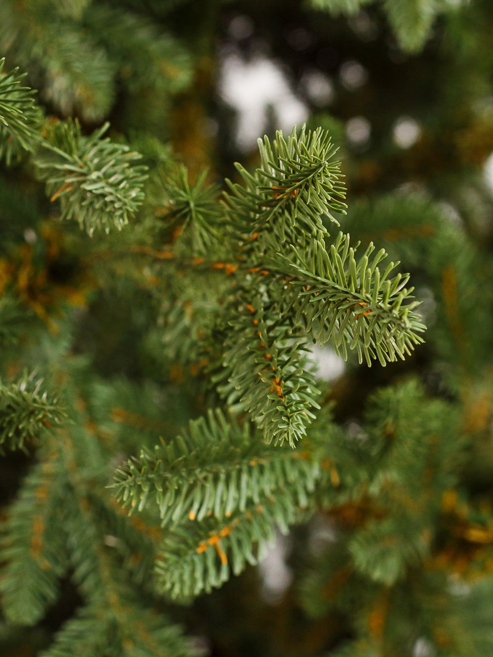 Искусственная ель на ножке «Датская» (Литая хвоя) высота от 1.2 м до 2.4 м