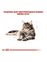 ROYAL CANIN MAINE COON Adult (Роял Канин Мейкун Эдалт) корм сухой для кошек 13 кг.
