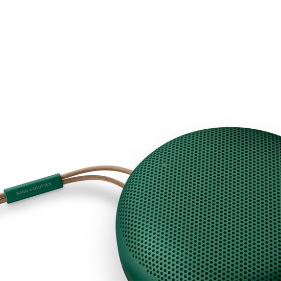 Bang & Olufsen Beosound A1 2nd Gen Green