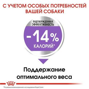 Корм для стерилизованных собак мелких пород, Royal Canin Mini Sterilised