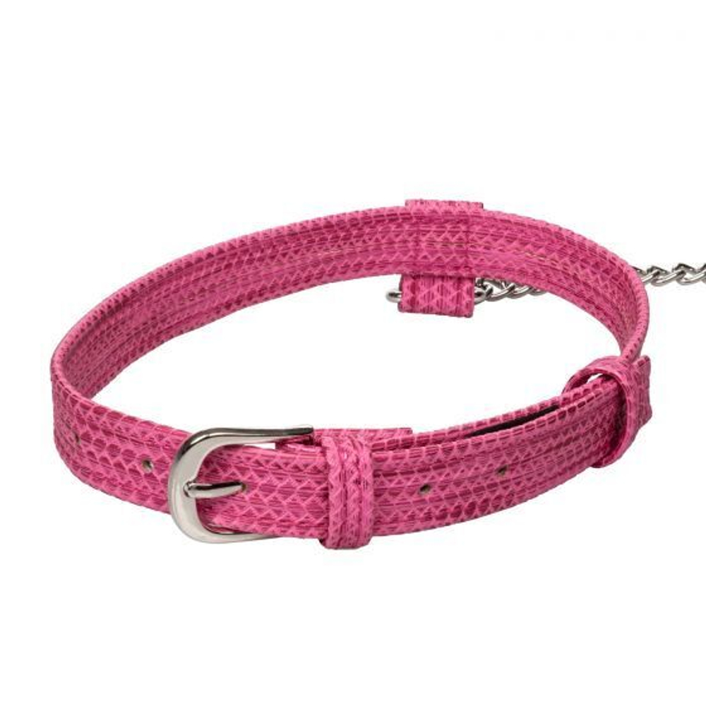 Розовый ошейник с поводком Tickle Me Pink Collar With Leash (Цвет: розовый)