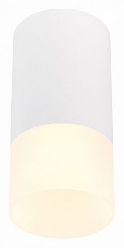 Накладной светильник ST-Luce ST100 ST100.512.01