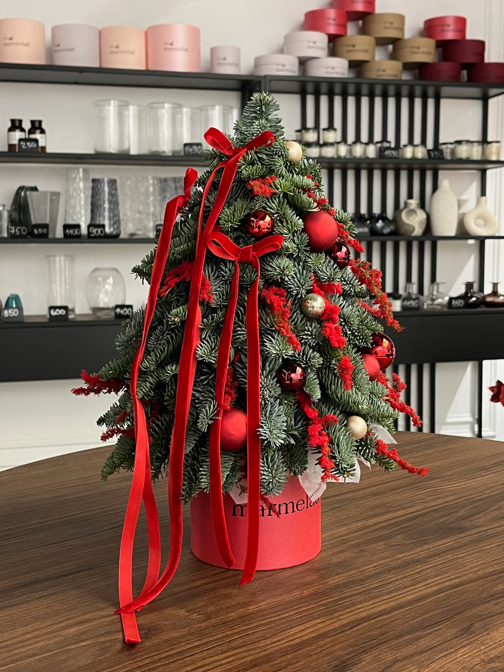 Елка из нобилиса