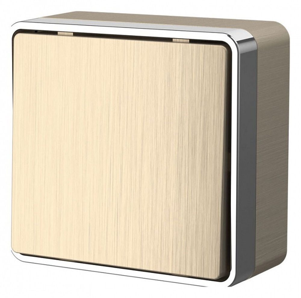 Выключатель одноклавишный Werkel W5012010