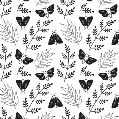 Черные мотыльки Pattern Black Moths