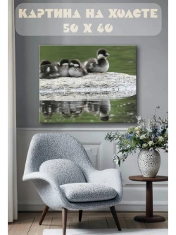 Картина на стену 40 X 50 Утята