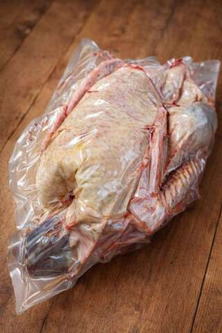 Гусь домашний