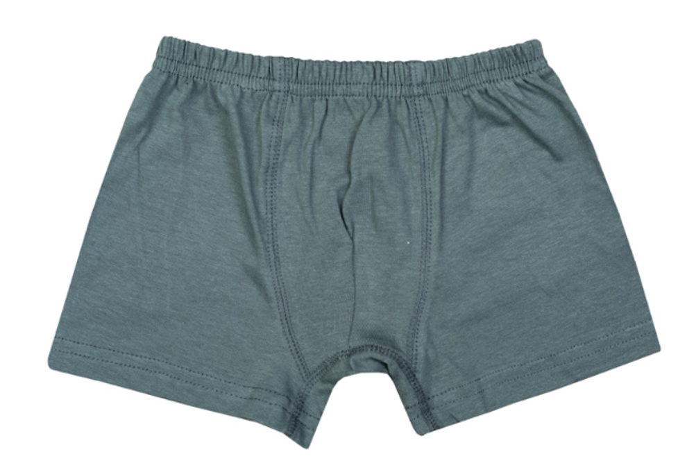 Трусы для мальчиков р. 134 серый T28KL-6/10 (Takro), 1 шт.