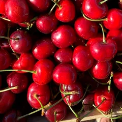 Черешня отборная фермерская (Тамань) / 4 кг Черешня отборная фермерская (Тамань) / 4 кг