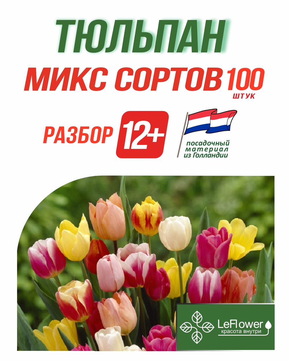 Тюльпан Луковица, Микс сортов 100 шт, разбор 12+