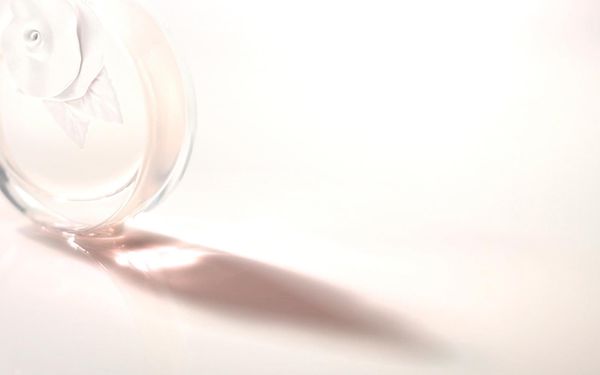 Valentino Valentina Acqua Floreale