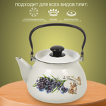 Чайник сталь, эмал, 3 л, ручк металл, Керчь, Аромат, 42104-122/6-У4