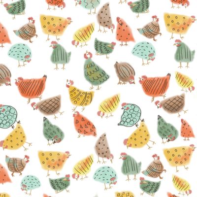 цветные куры на белом