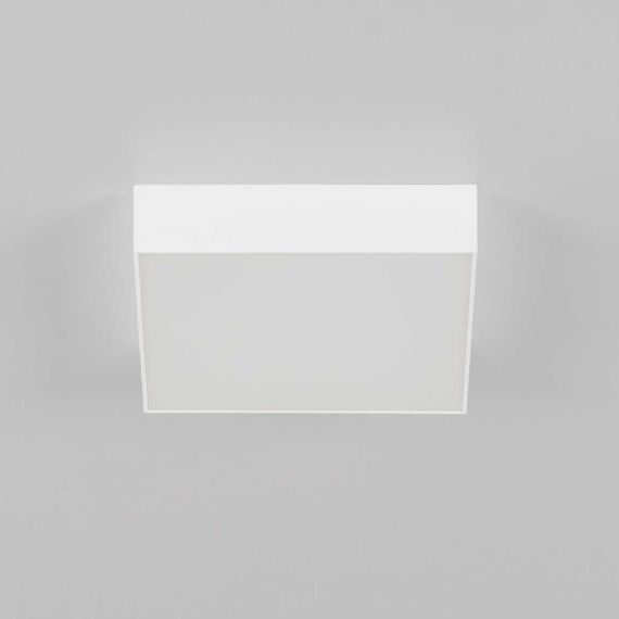 Накладной светодиодный светильник Citilux Тао CL712X180N