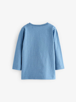 Лонгслив для мальчика Next 650-624, Голубой