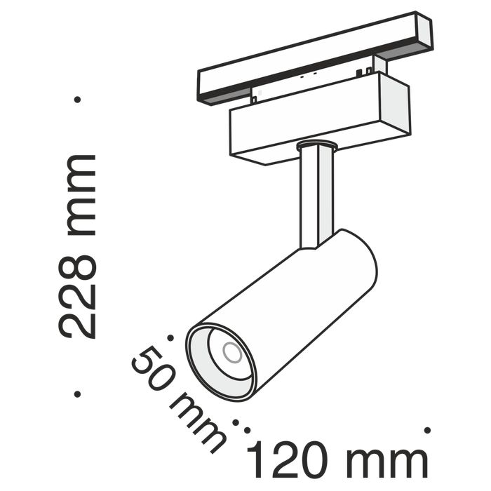 Трековый светильник Maytoni TR019-2-10W3K-B