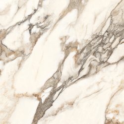 Calacatta Carve Керамогранит 60х60 Карвинг