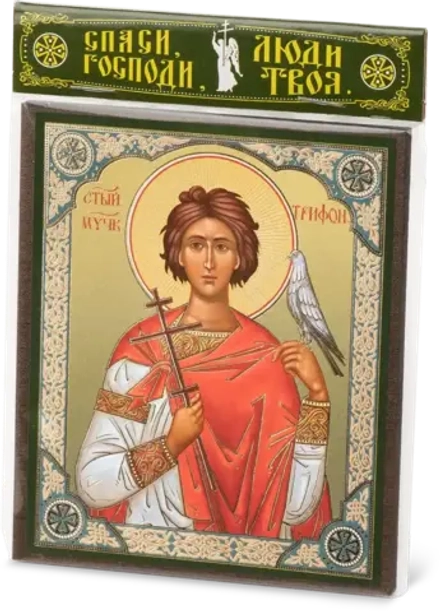 Икона "Трифон Апамейский" 10х12 на МДФ-6