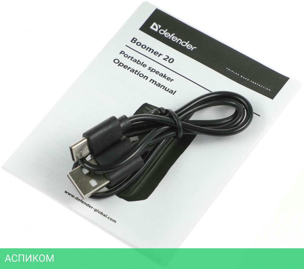Портативная колонка Defender Boomer 20 (65820)